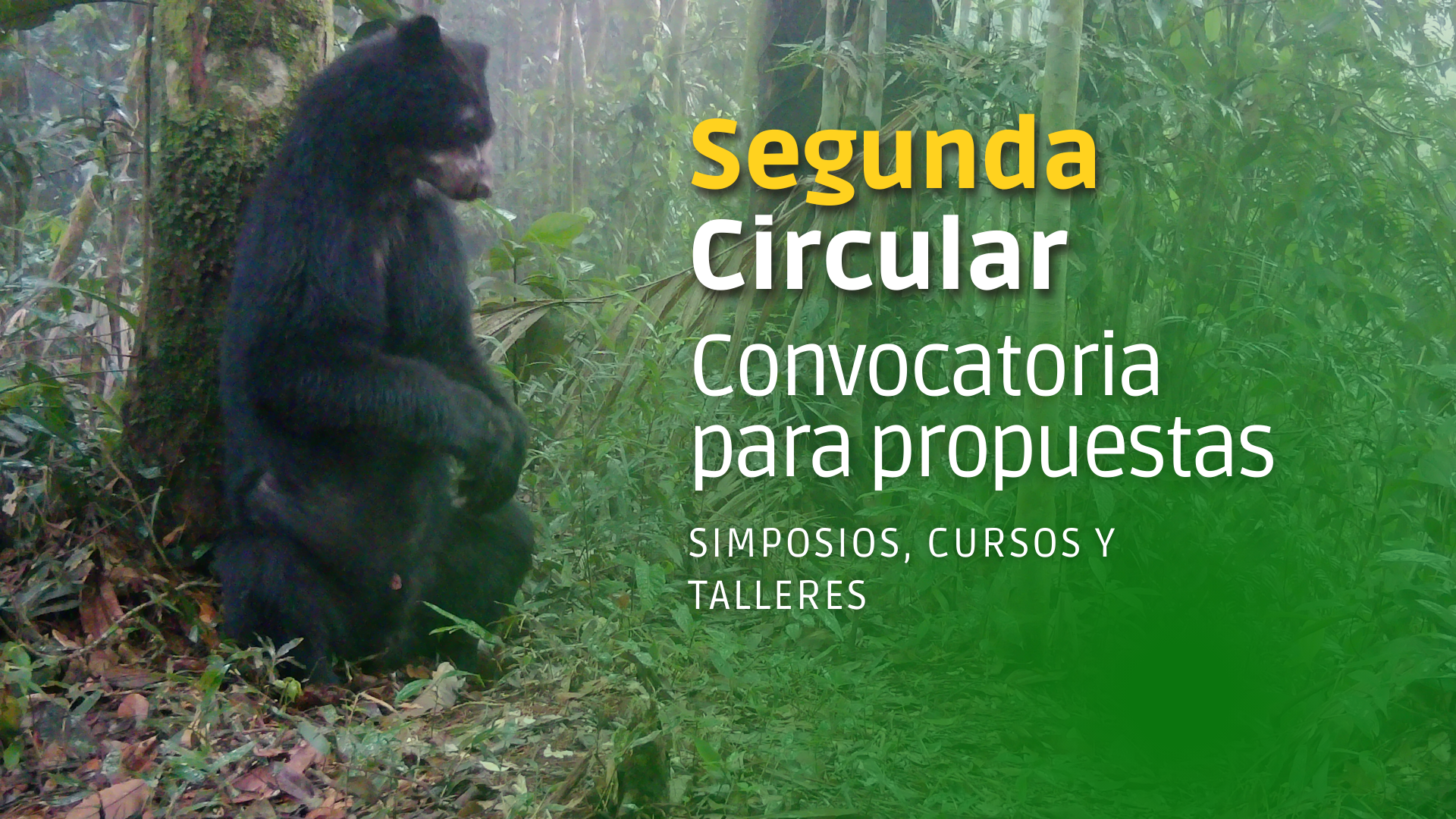 Segunda Circular