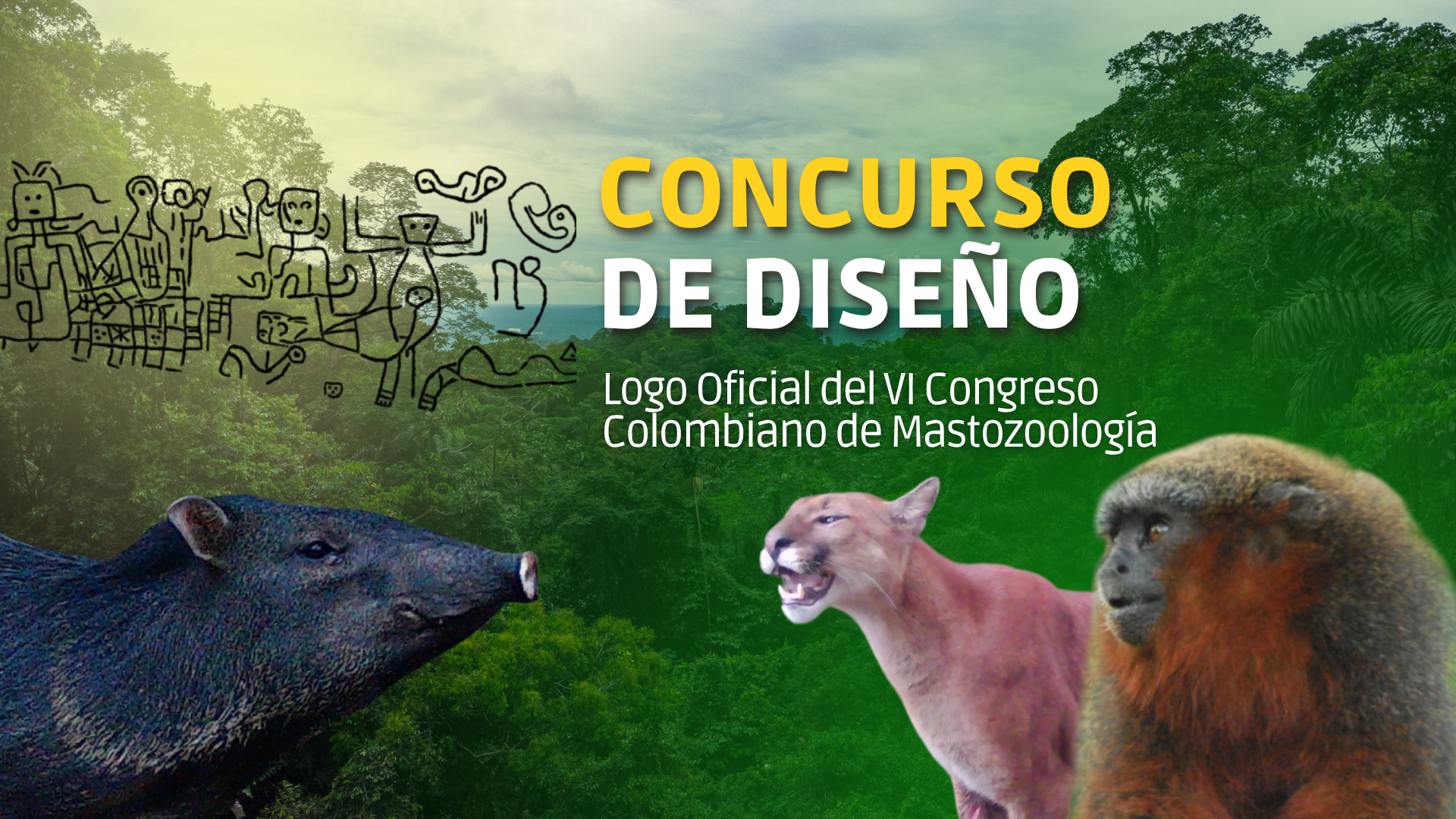 Concurso de Diseno