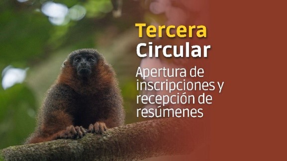 Tercera Circular