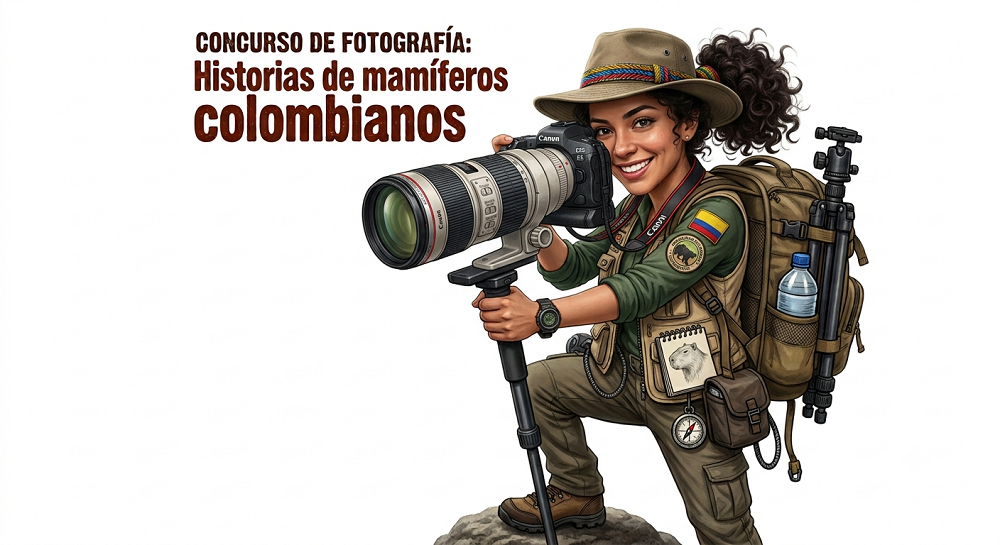 Concurso de Fotografía