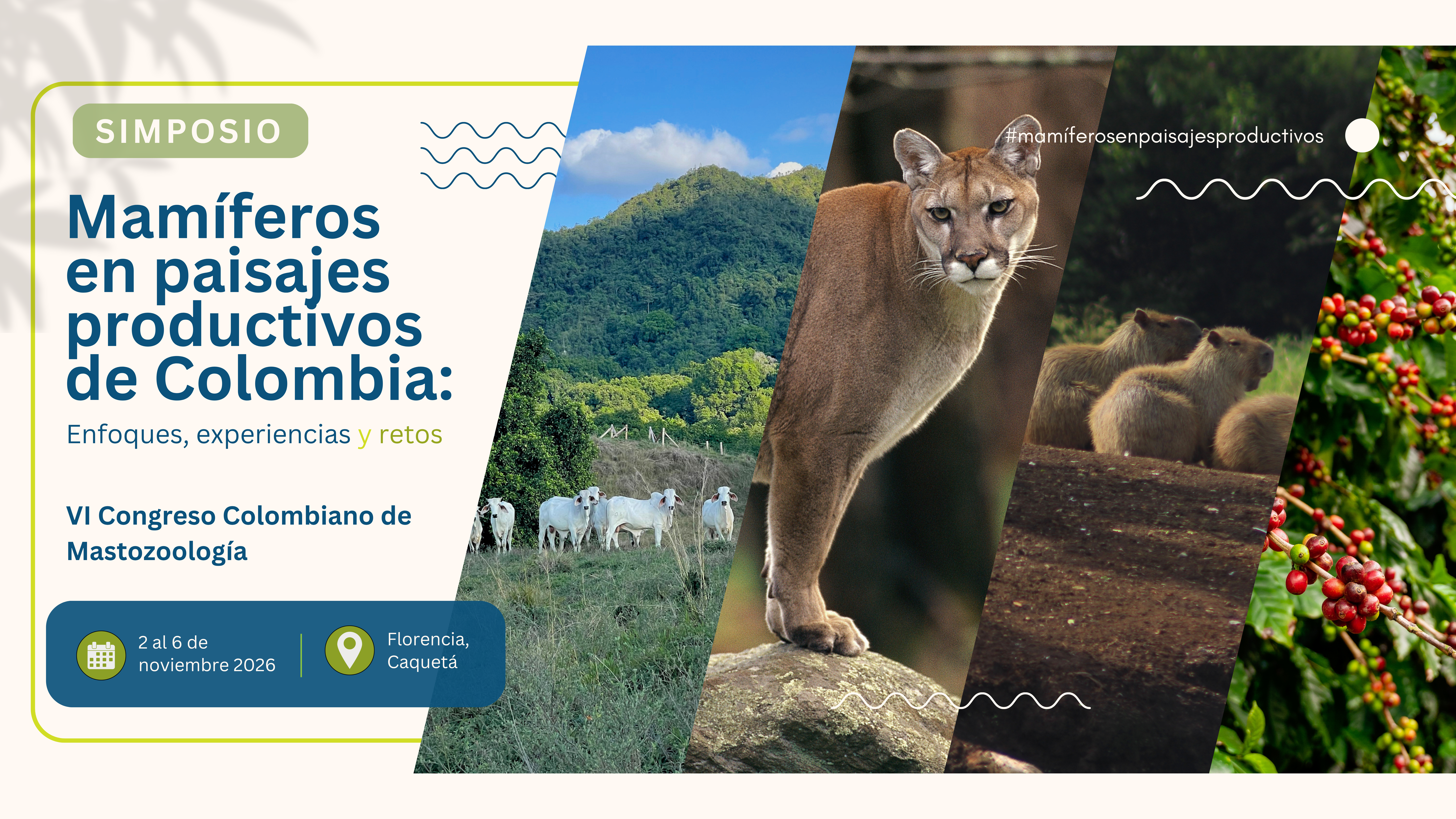 Mamiferos en paisajes